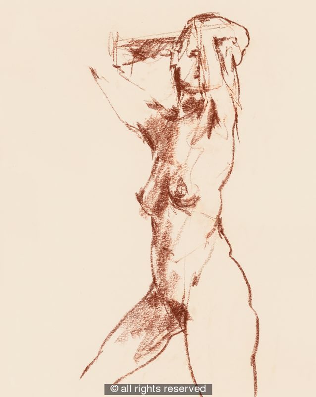 A4 size giclee print FD 1