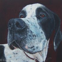 Harvey II  [Bacon butty day]