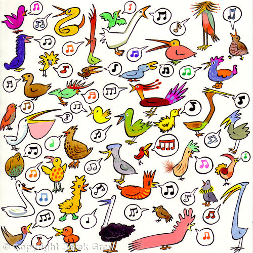 40 Birds