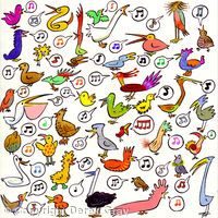 40 Birds