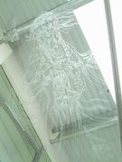 Engraving Detail from Suburban Odyssey