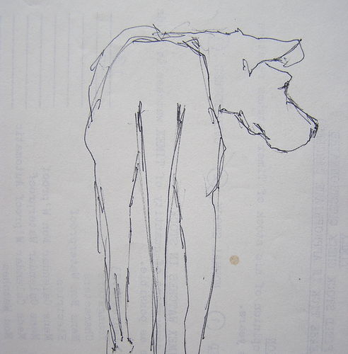 Watchful Dane