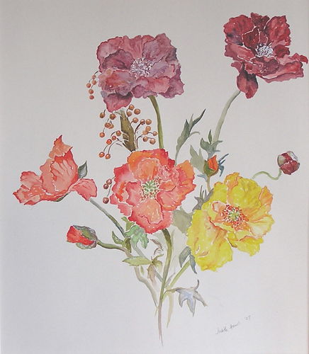 Poppies