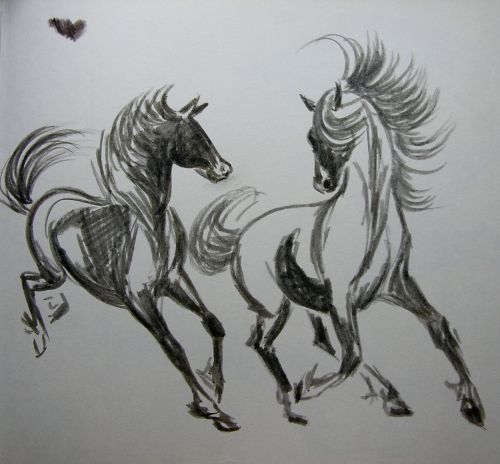 A Frolic!