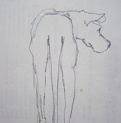Watchful Dane