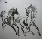 A Frolic!