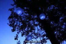 Illuminated Lanterns