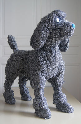 poddle:caniche-2663