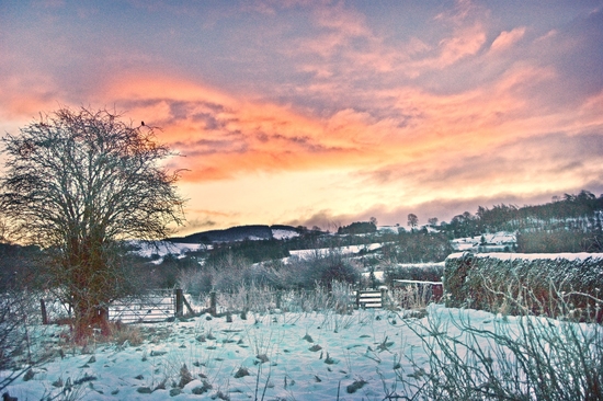 Winter sunset