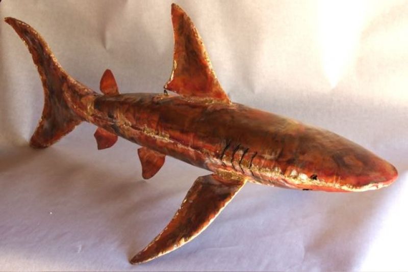 shark