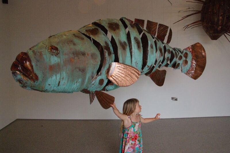 giant potato cod