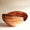 shell bowl