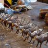 a herd of reindeer in my workshop