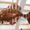 Big Fish Mobile