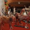 horses and reindeer