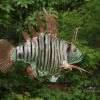 small scorpion fish