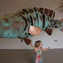 giant potato cod