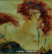 Warm light after winters toll