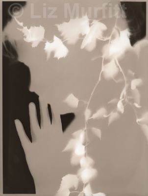 Innocence