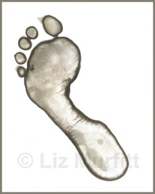 Footprint 1