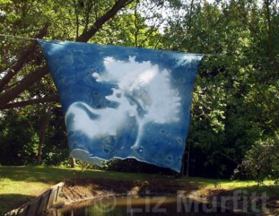 Art in the garden 2008