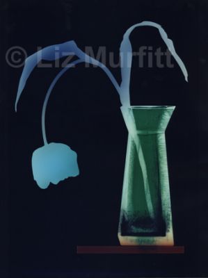 Tulip 2