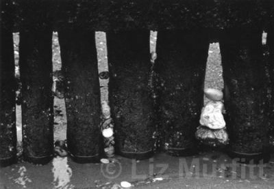 Time  and Tide