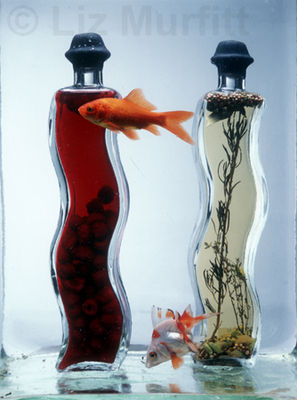Untitled (Fish & Bottles)