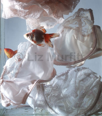Untitled (Fish & Underwear)