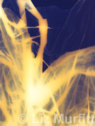 Earth Spirits 3
