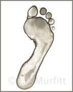 Footprint 2