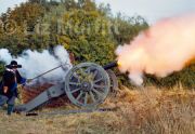 Cannon