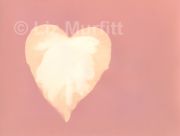 Pink Heart