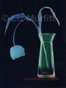 Tulip 2