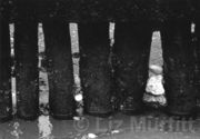 Time  and Tide