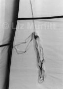 Guy rope