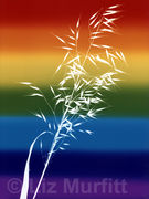 Rainbow Grass