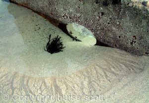 shipwreck