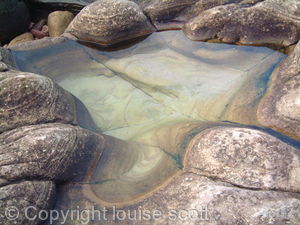 rock pool