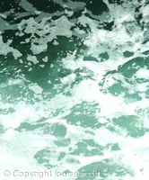 seafoam