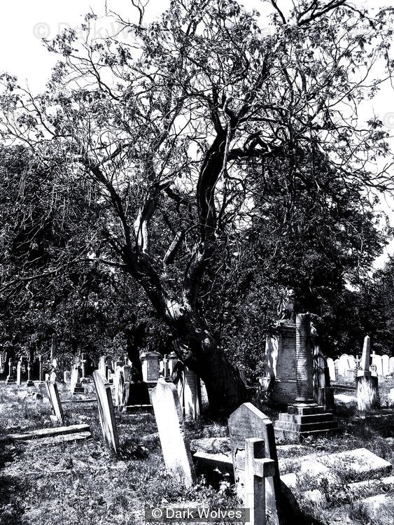 Graveyard 1