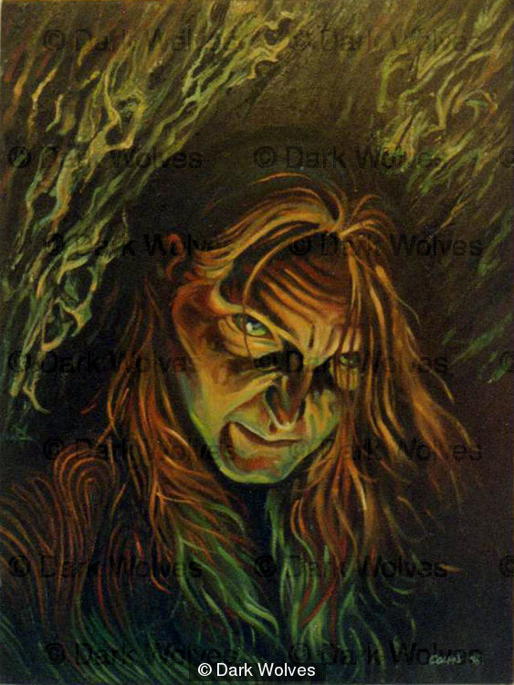 The Hermit