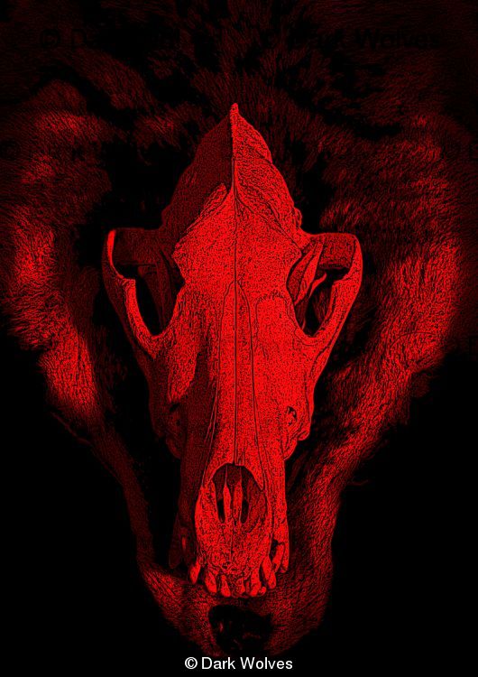 darkwolves logo