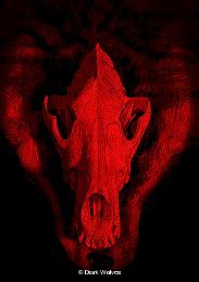 darkwolves-logo