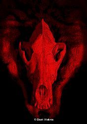 darkwolves logo