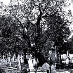Graveyard 1
