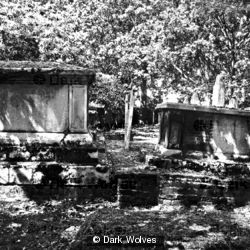 Graveyard 4