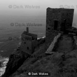 Wheal