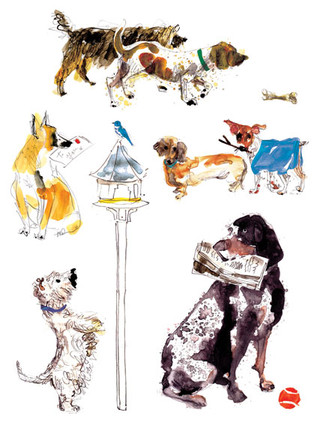 Birthday Dogs