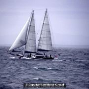 Photo - 8